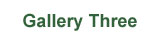 gallery_three_menu.jpg